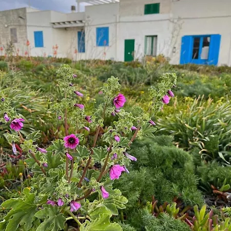 - Casetta Favonia Fronte Mare * Favignana
